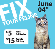 FelineFixWeb2014_June.jpg