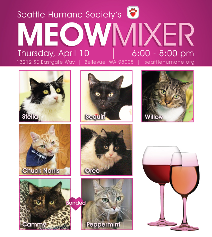 Meow-Mixer-Spring-FB.jpg