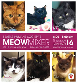 Meow-Mixer-Web-2014.jpg