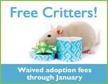 Free-critter-ad