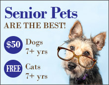 Senior Pets Ad